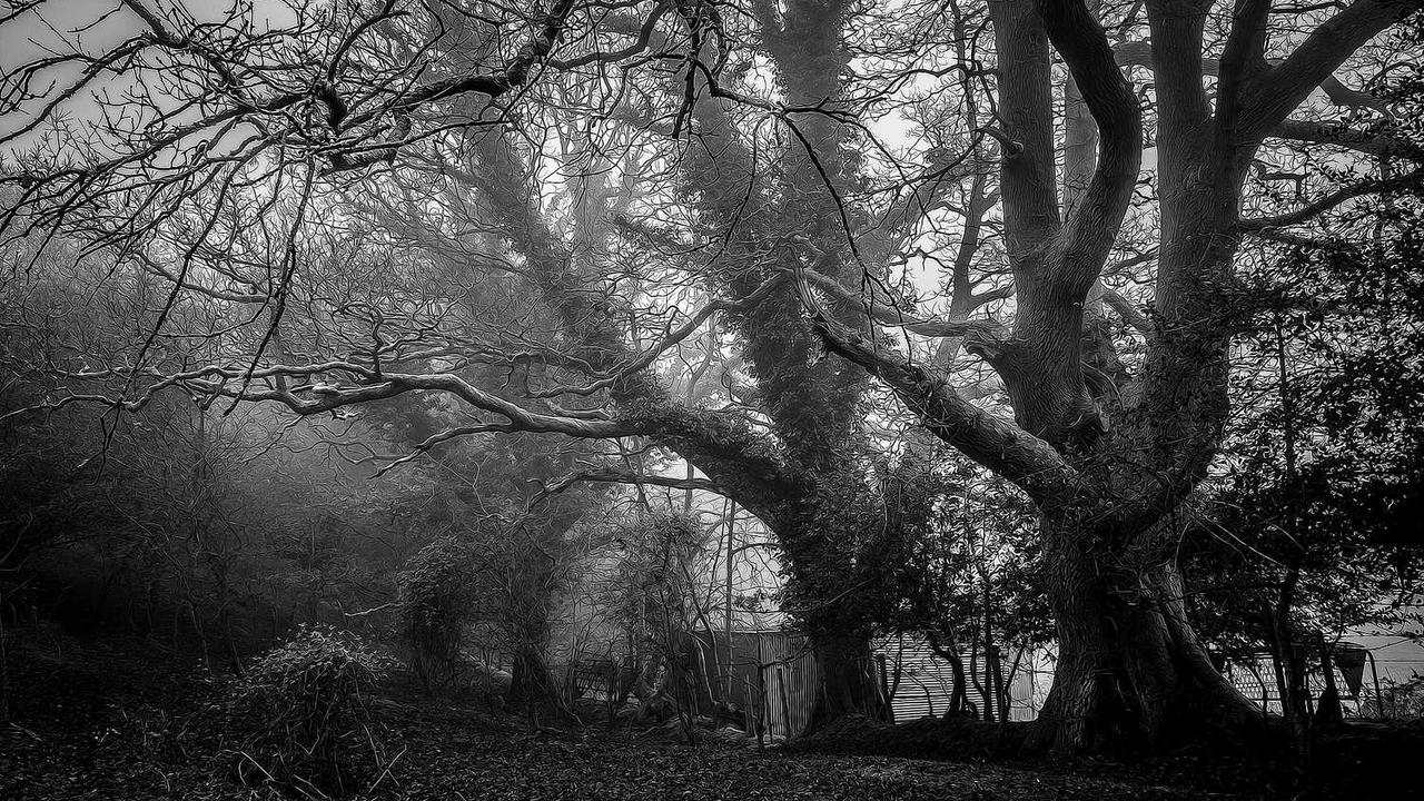 아시아 대홍수 피해 급증, 스리랑카·인도네시아 군 투입 긴급 대응 관련 대표 이미지