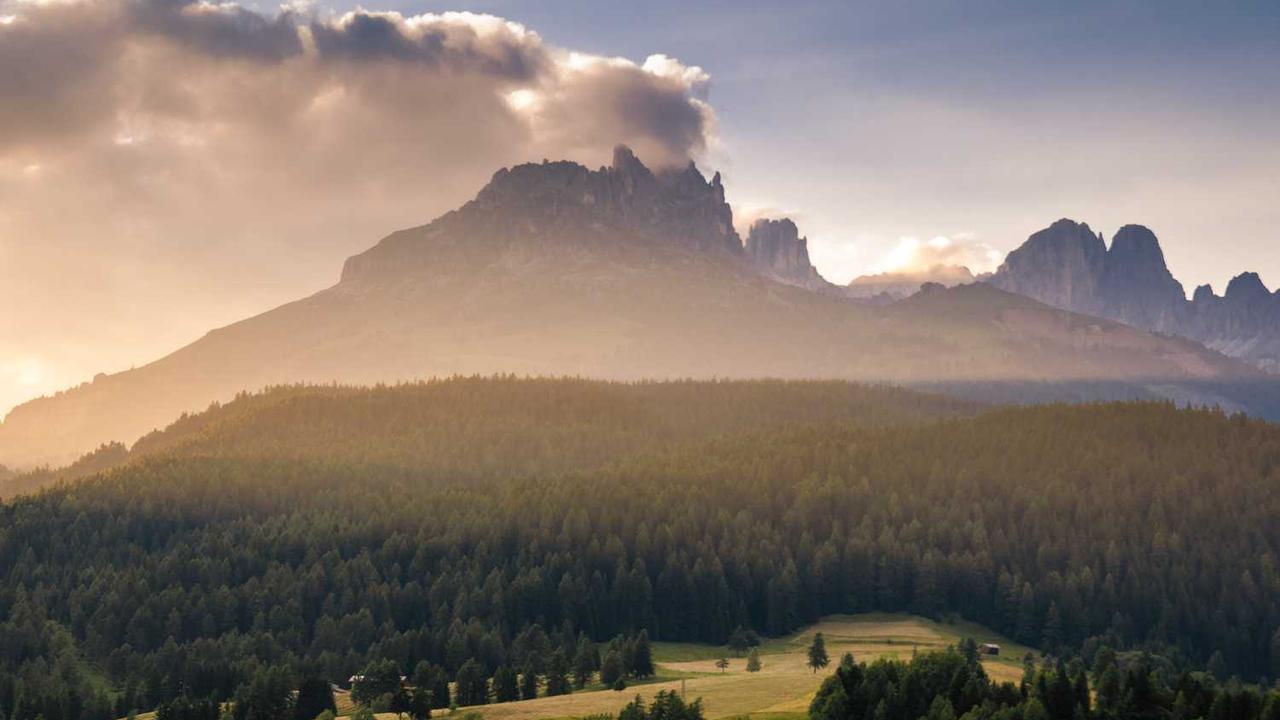 취한 너구리, 주류 매장 난입해 바닥에 널브러진 사연 관련 대표 이미지