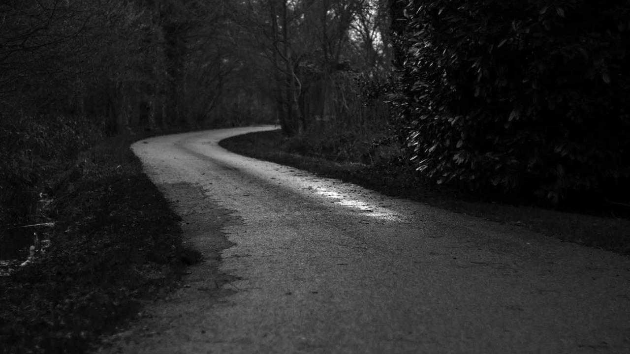 스페이스X, 캘리포니아서 28기 스타링크 위성 대규모 발사 성공 관련 대표 이미지