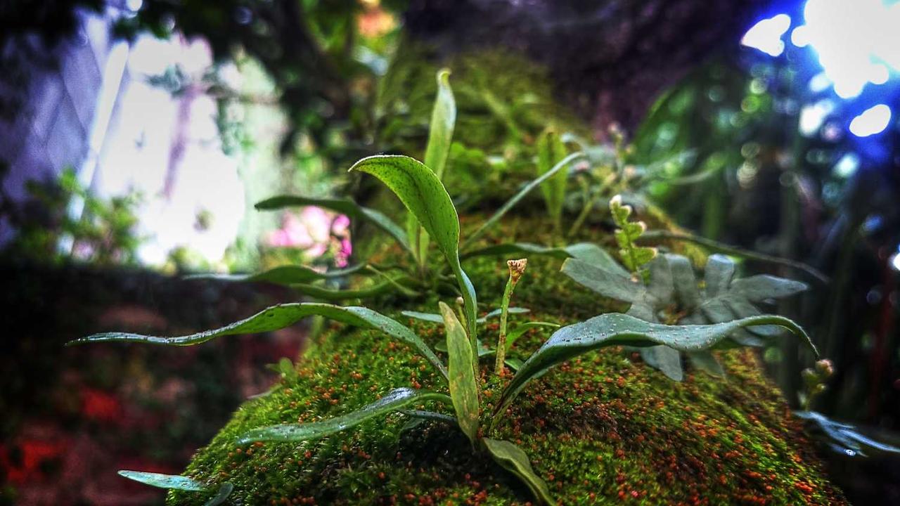 남성 몸속에서 6일 만에 발견된 다이아 보석 달걀의 미스터리 관련 대표 이미지