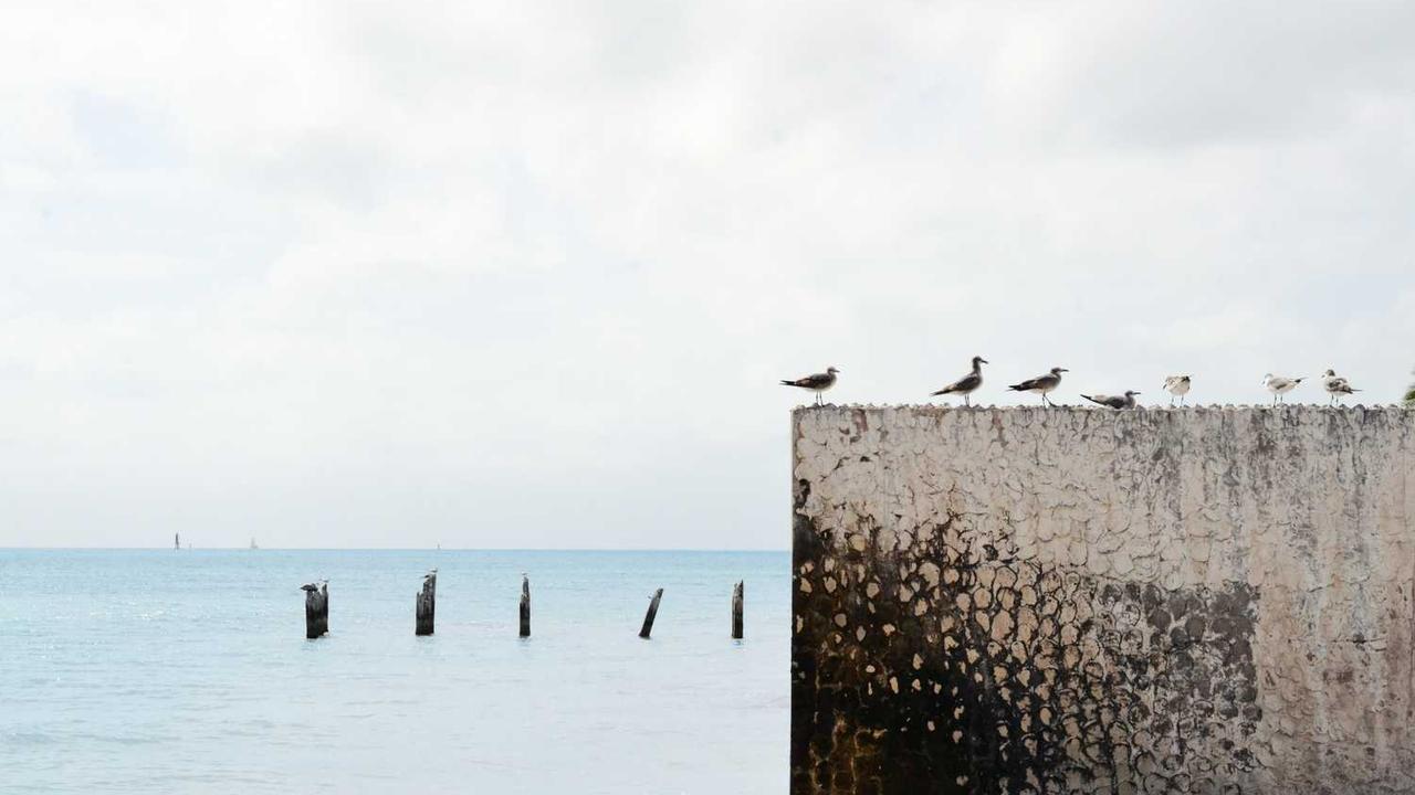 인도네시아 폭우 참사, 사망자 900명 넘어선 재난의 진실 관련 대표 이미지