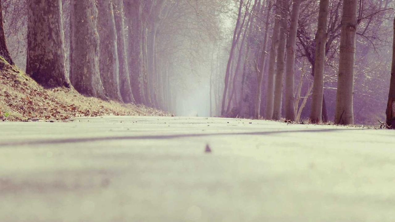 잃어버린 폼페이, 미스터리 계단이 이끈 고대 도시 발굴 관련 대표 이미지