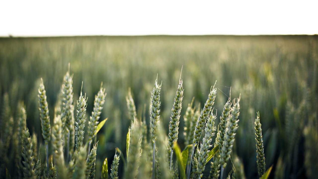 아프간 도운 미국 협력자들, 추방 위기 속 절박한 호소 관련 대표 이미지