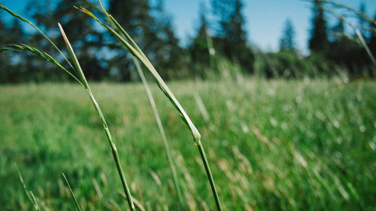 ‘모두의 시장’ 뽑힌 마이애미 신임 시장, 승리 비결은? 관련 대표 이미지