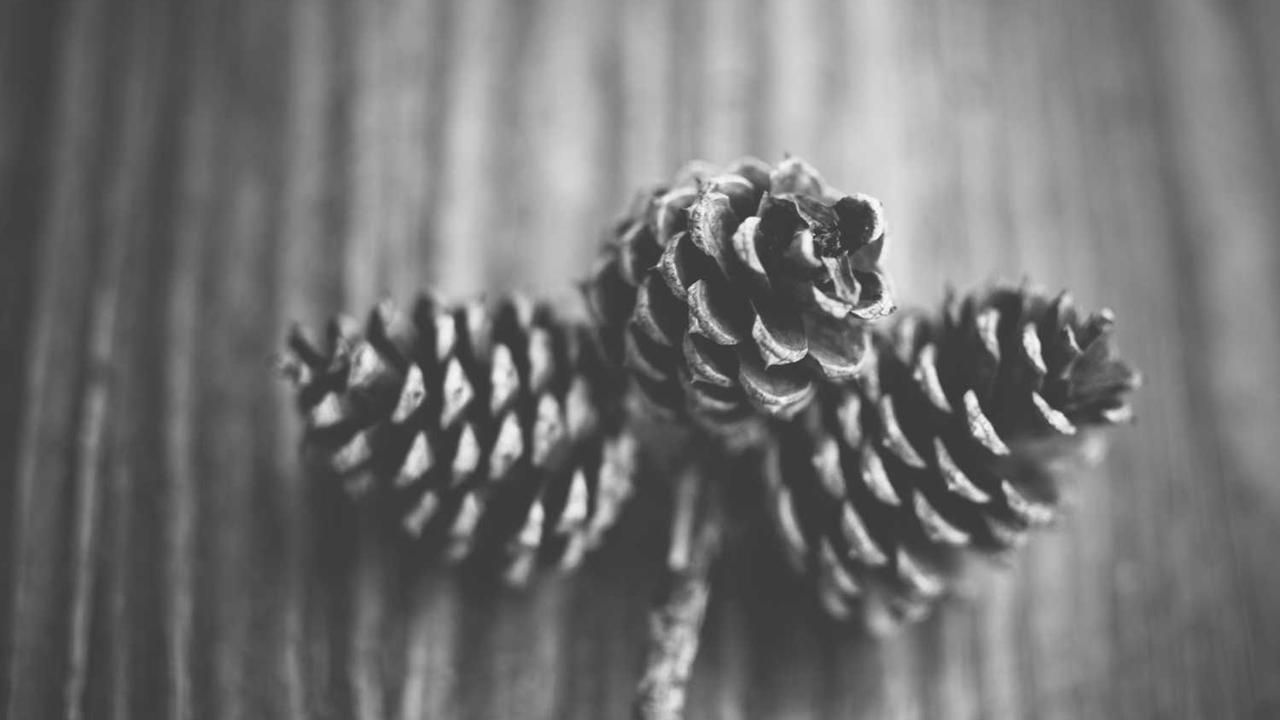 12년 만에 포르투갈 전면 총파업, 사회 전반 강타한 대규모 혼란 관련 대표 이미지