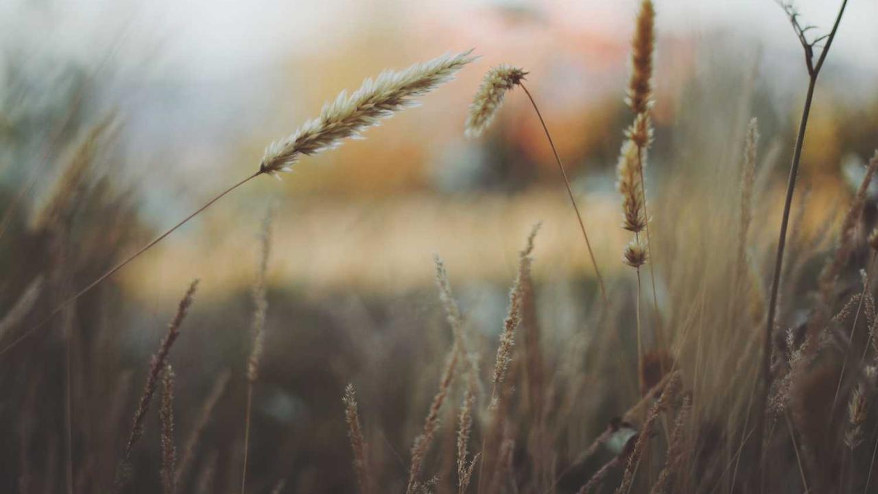 스위스 도시, 비트코인으로 일상 결제 가능한 미래 선도지로 주목 관련 대표 이미지