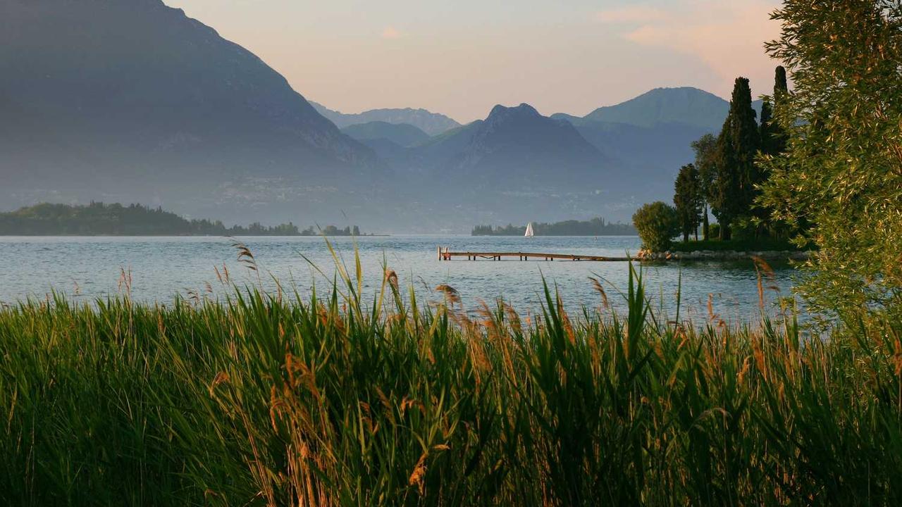 ‘미친 영어 시험’ 논란에…한국 대학수능 최고 책임자 사퇴 배경 분석 관련 대표 이미지