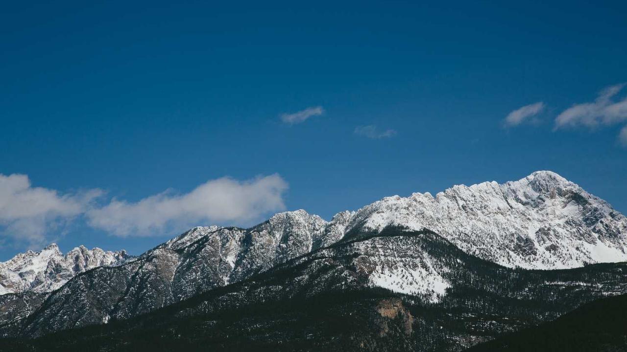 미국 트럼프 행정부의 새로운 이민 단속, 합법 이민자까지 탄압 확대 관련 대표 이미지