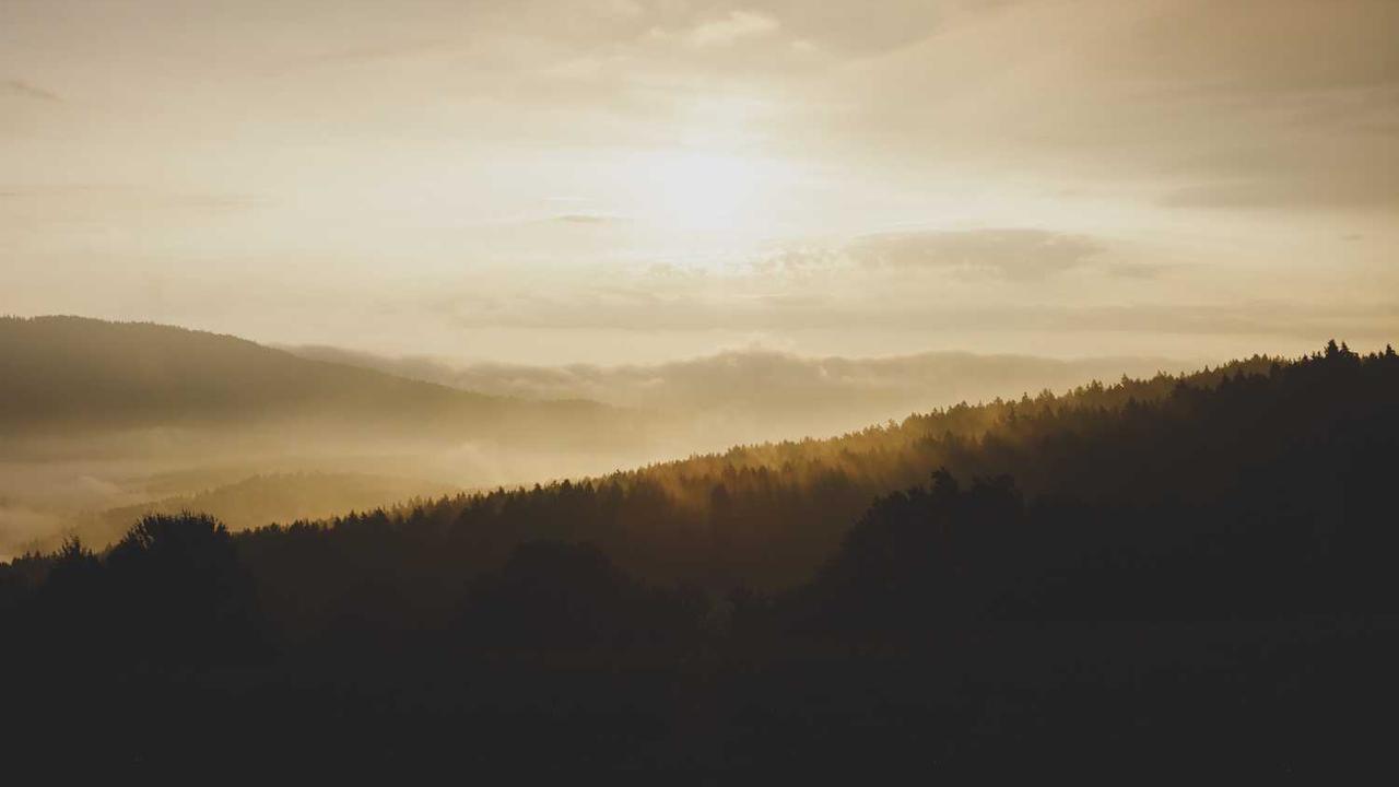 트럼프 마리화나 재분류가 미시간에 미칠 영향 탐구 관련 대표 이미지