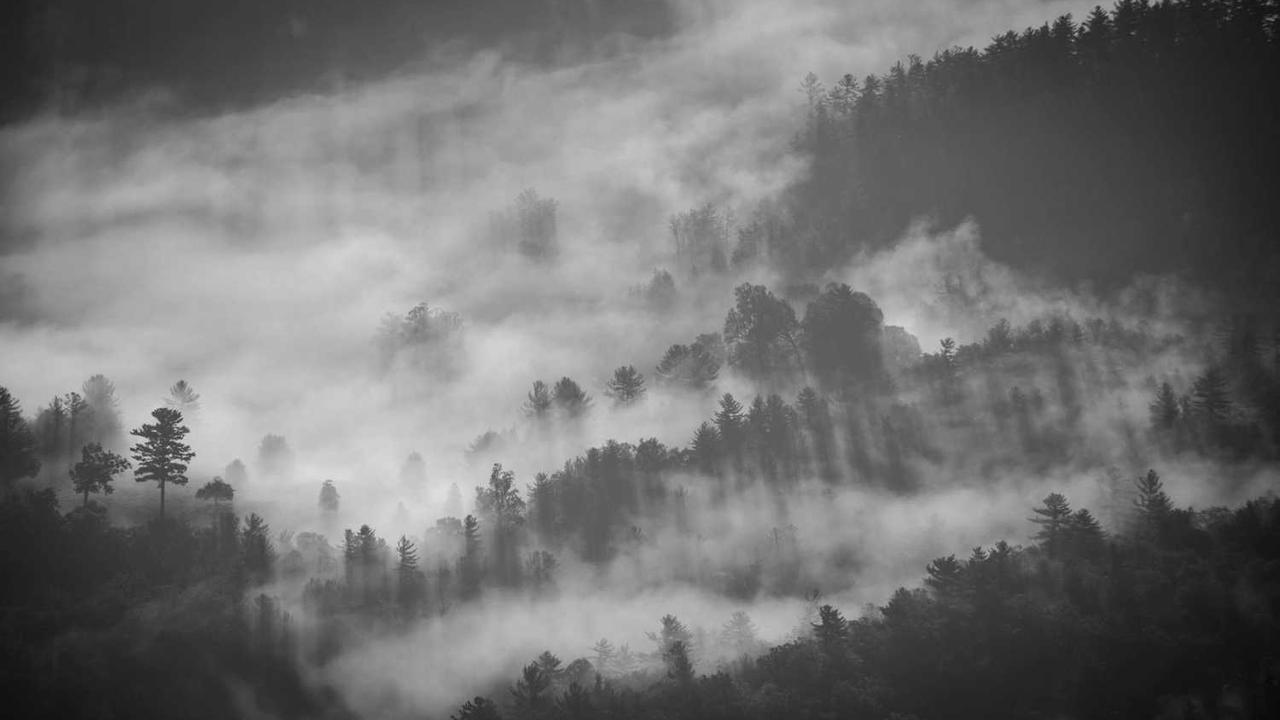 이스라엘 소말릴란드 인정, 유엔 안보리 긴급회의 소집 배경과 파장 관련 대표 이미지