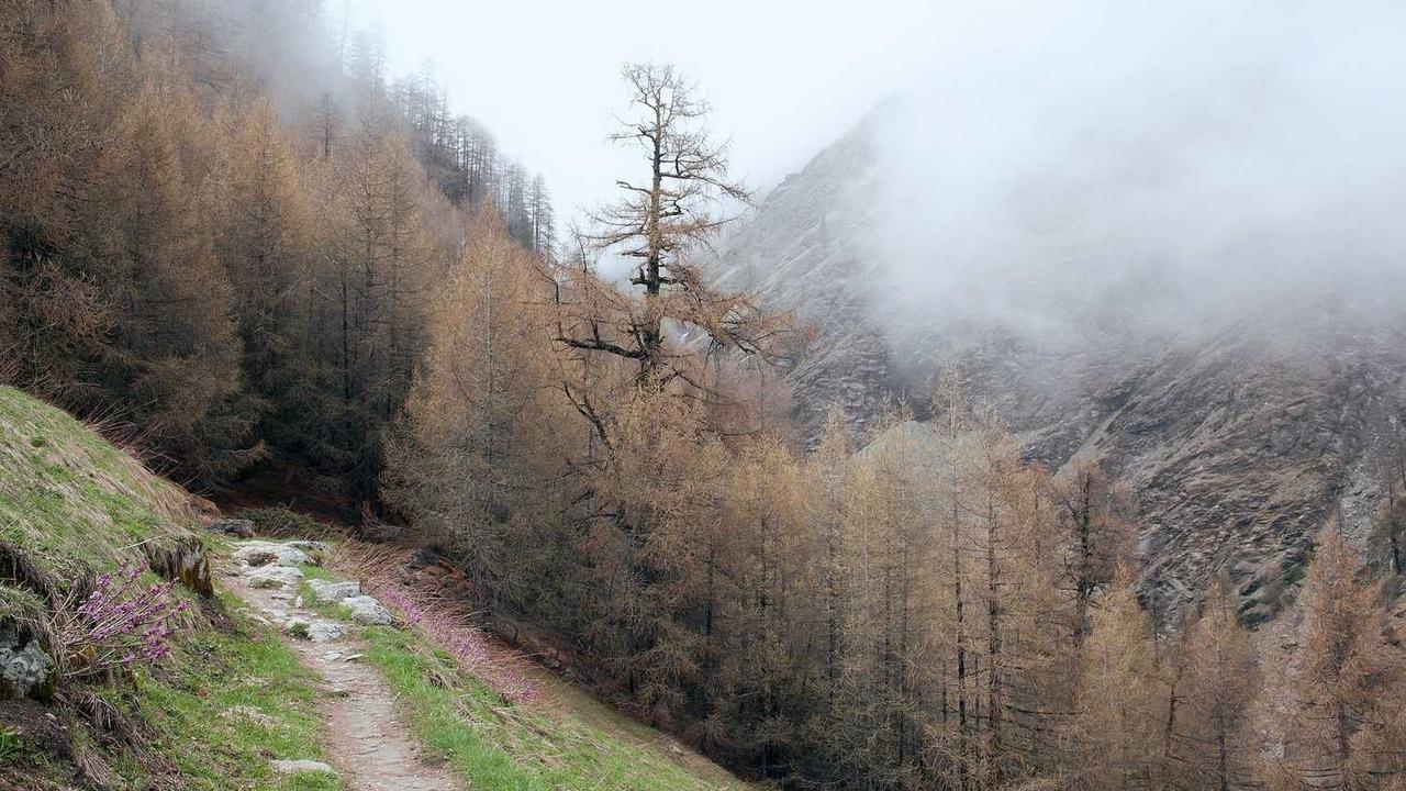 트럼프, 산타 위치 추적에 답하다…아이들과의 특별한 크리스마스 순간 관련 대표 이미지