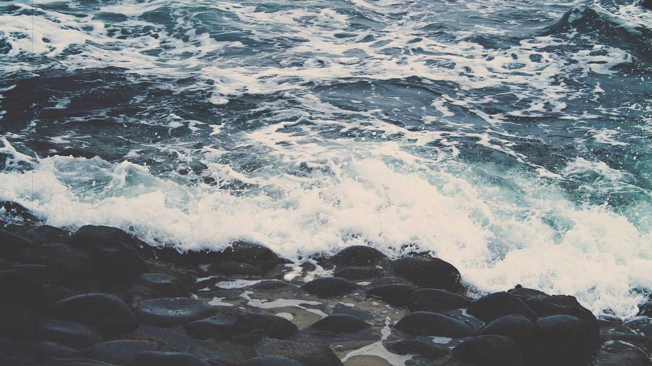 ‘예술계 전설’ 세실리아 히메네스, 94세로 별세 관련 대표 이미지