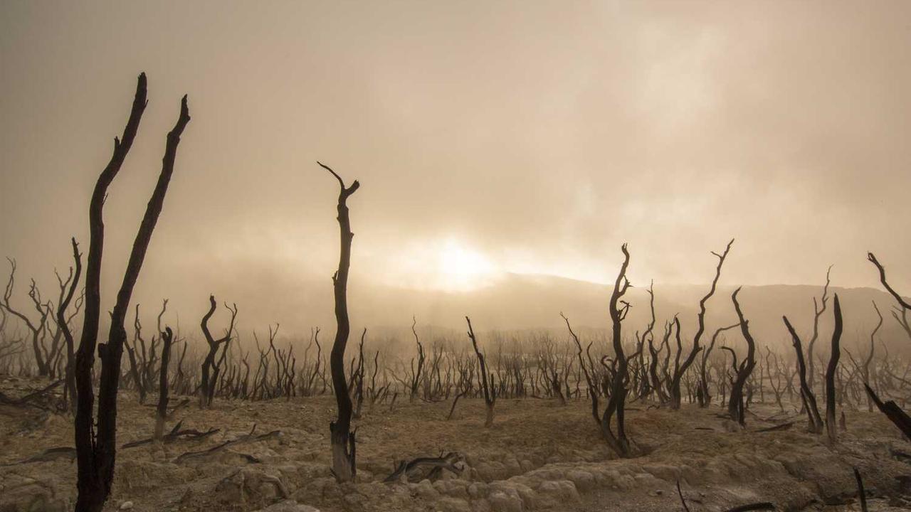 애플 2026년 주가 전망: AI·서비스 성장에 주목하라 관련 대표 이미지