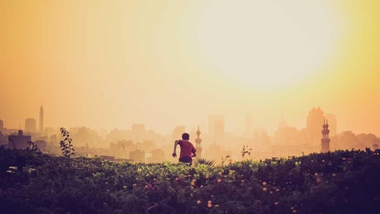 특검, 윤 전 대통령에 사형 구형…긴박한 군사독재 부활 시도 진상조사 관련 대표 이미지